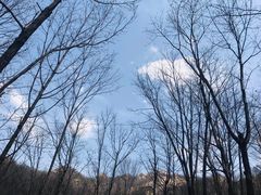 -西泰山风景区