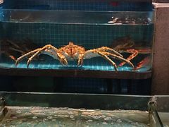 -梦都海鲜酒家(万达广场江桥店)