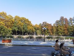 -武汉大学-樱园