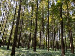 -河南省黄河迎宾馆