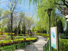 -大兴滨河森林公园