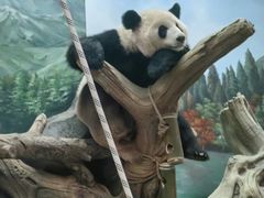 -武汉动物园