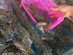 -清水湾3号(东方小周海鲜店)