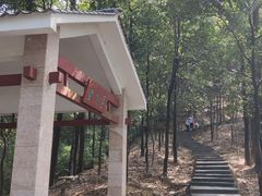 -火炉山森林公园
