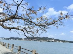 -东钱湖旅游度假区