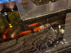 -悦慕·花满溪(新城吾悦店)