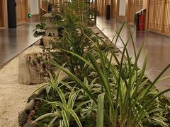 -玖合素手·轻养足浴SPA(云纺大悦城店)