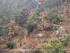 -虞山风景区