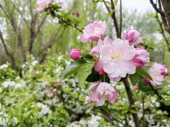 -元大都城垣遗址公园