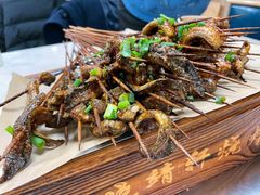 鳝鱼-晓靖轩烧烤(沙河风情店)