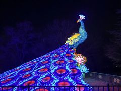 -洛阳市隋唐城遗址植物园