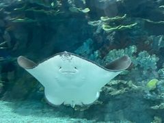 -福州罗源湾海洋世界旅游区