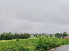 -草原天路(张北县)