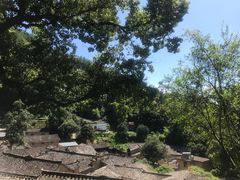 -杨家堂村