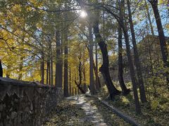 -阳台山自然风景区