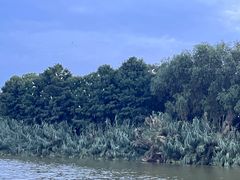 -苏州太湖国家湿地公园