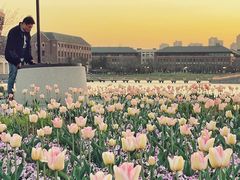 -浙江大学(海宁国际校区)