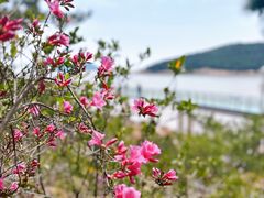 -宁波松兰山滨海旅游度假区