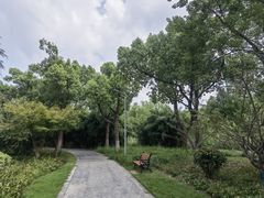 -昆山城市生态森林公园