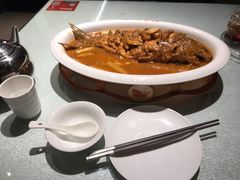 红烧黄河鲤鱼-阿五黄河大鲤鱼(英协路店)