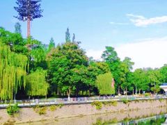 -成都市活水公园