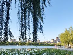 -莲花池公园