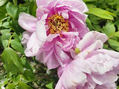 -狼山风景名胜区