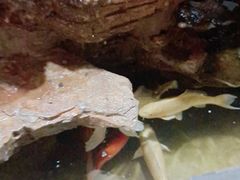 -汉唐守艺人·河北面馆(民心河店)