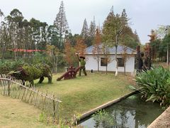 -上海长兴岛郊野公园