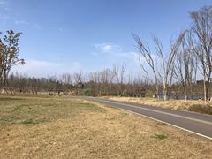 -白鹭湾湿地公园