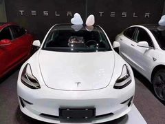 -TESLA 特斯拉(上海太古汇体验店)