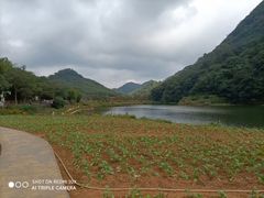 -广州市石门国家森林公园