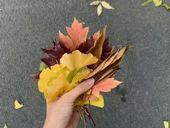 -尕盼舍连锁餐饮大盘鸡拌面王(中和美食街店)