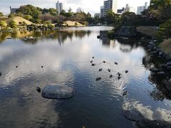 -水前寺成趣园