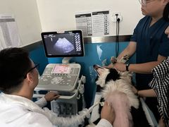 -康爱犬猫诊所·牙专科·骨外科·影像内科(丰宁店)