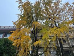 -郑和公园