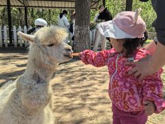 -大连铭湖国际观光牧场
