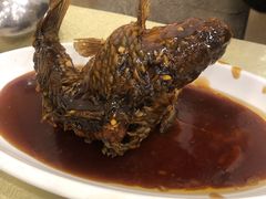 挣蹦鲤鱼-奥华餐厅·老张记(台基厂店)