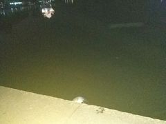 -西湖外事游船(湖滨二公园外事游船码头)