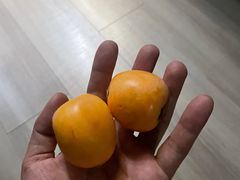 -城南综合水果批发市场(花园路店)