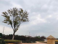 -武汉紫薇都市田园