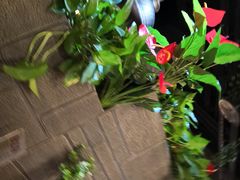 -舌尖上的食缘花园主题餐厅