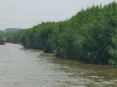 -白洋淀景区