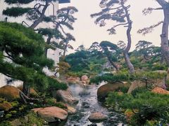 -罗红摄影艺术馆