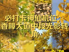 -徐家汇源景区-衡山公园