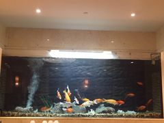 iphone_upload_pic-宁海金海开元名都大酒店·名爵自助餐厅(金水路店)