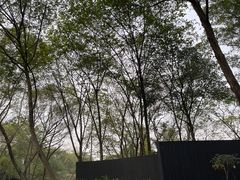 -木守西溪溪隐餐厅