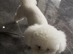 -张钰强中医正骨推拿连锁(唐家人才公寓店)