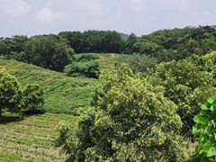 -南山风景名胜区