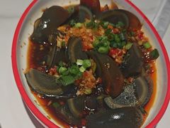 -大孩龙虾(体育场旗舰店)